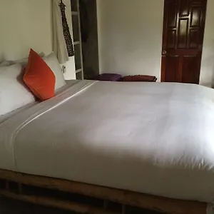 Gasthof An Bang Hideaway, Hoi An